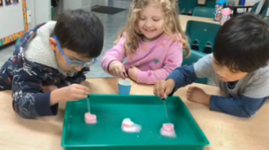 vlcsnap-2025-07-25-08h49m27s980